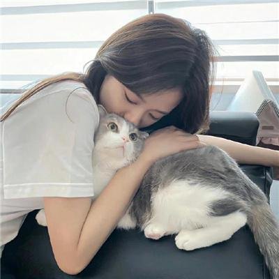 酒巷深深